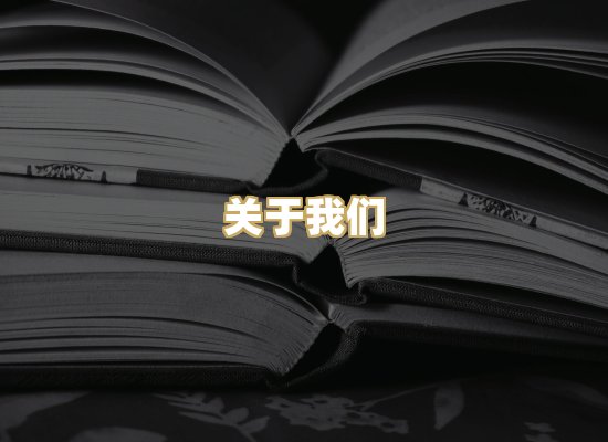 关于我们